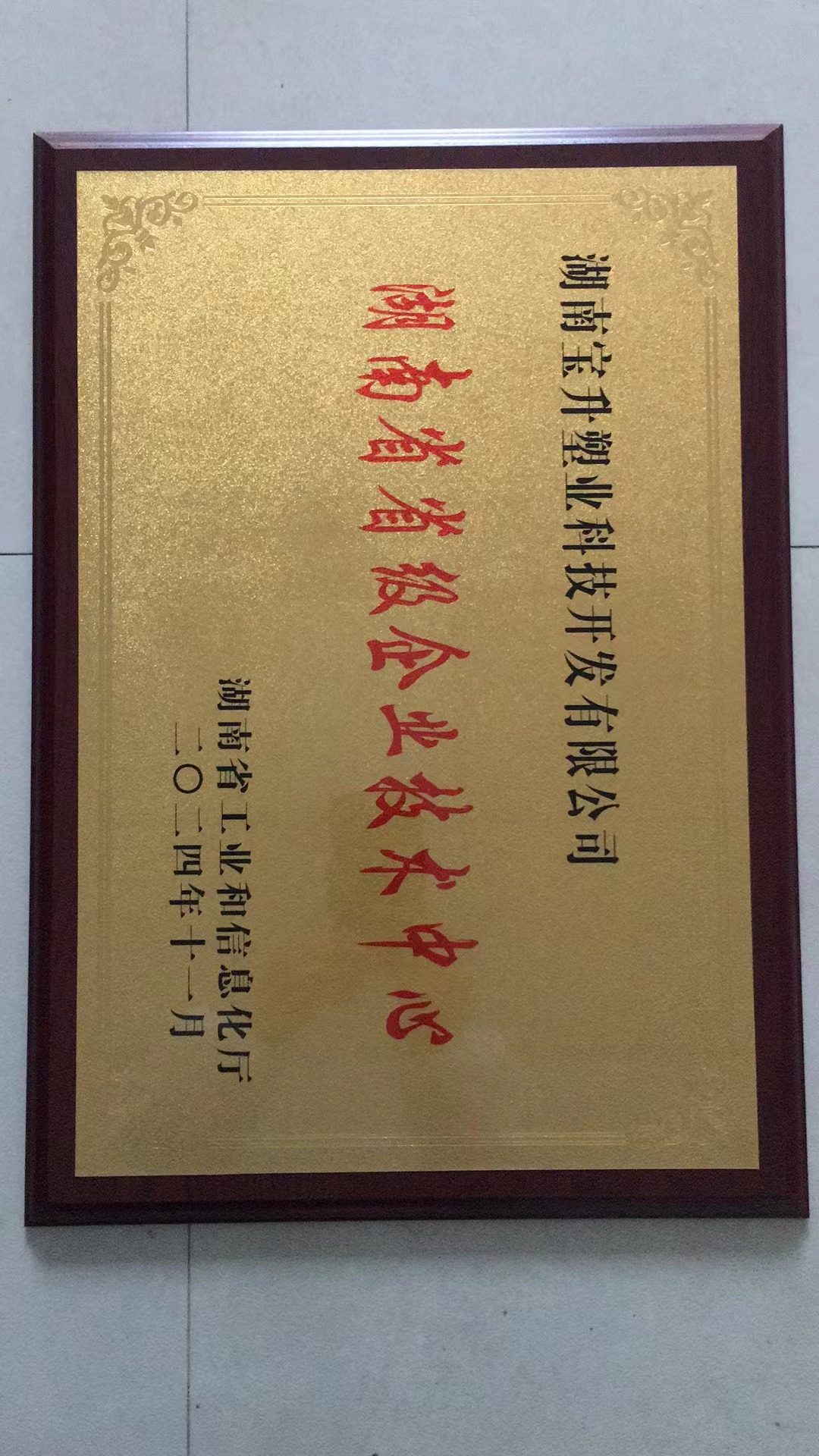 湖南省省级企业技木中心