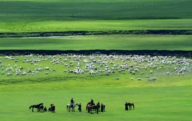 什么时候去内蒙古旅游最好,去哪个草原最好?