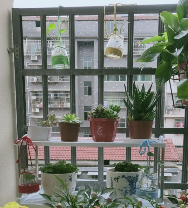 益阳万源学校
