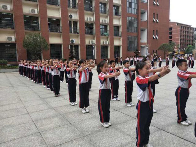 益阳小学生招生报名