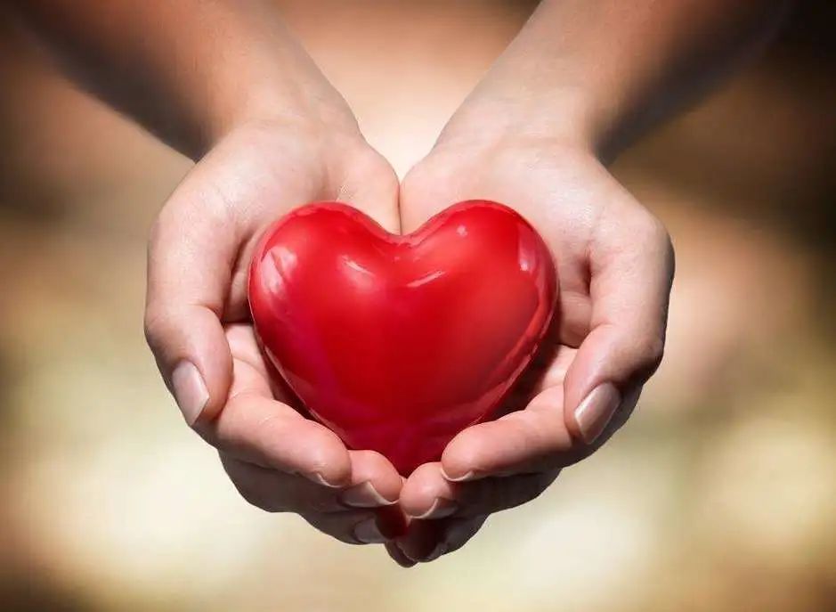 愛心接力 匯聚情深——麓谷醫械園黨組織為抗擊疫情捐款