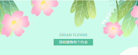 “我和植物有个约会”——益阳万源明达学校小学部主题统整课程教师活动