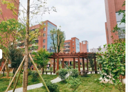 校长访谈录：复读应该补什么？
