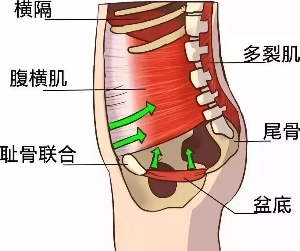 性生活不和谐,松弛没感觉!这个拯救方法一定要知道!