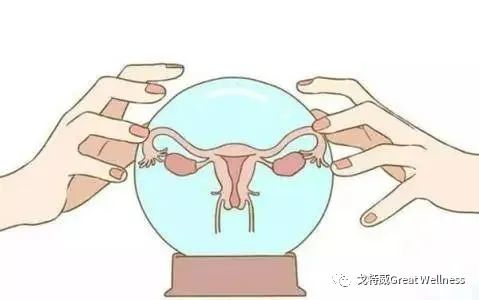 从“炎症女人”轻松变身“颜值女人”!菲朵来了!