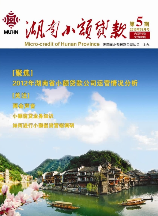 《湖南小额贷款》第五期