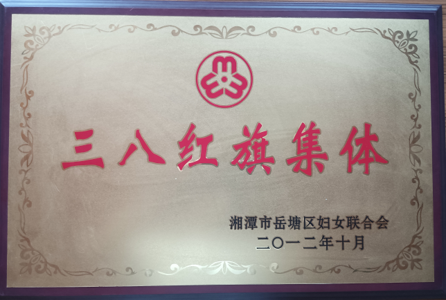 2012年岳塘区妇联三八红旗集体