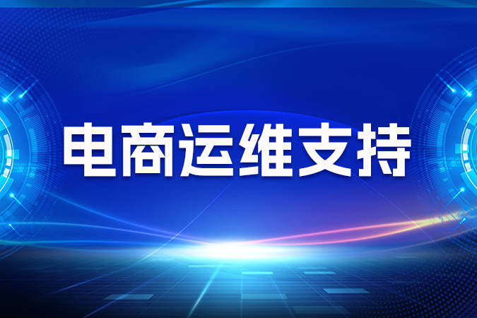 电商运维支持的重要性与挑战