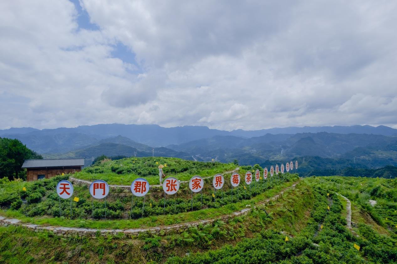 新湖南：金融“小而美” | 张家界国鑫：“五篇金融文章”的国鑫实践