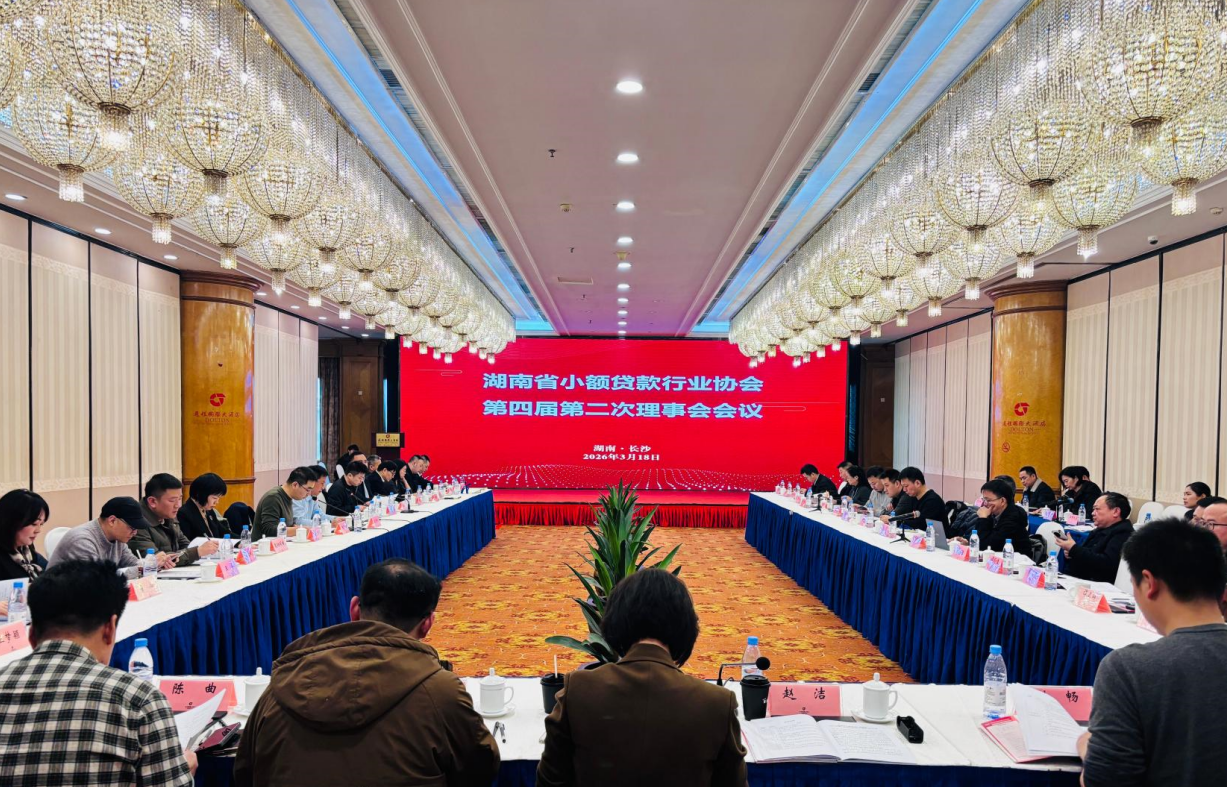 湖南省小额贷款行业协会第四届第二次理事会会议暨2026年度行业工作务虚会召开