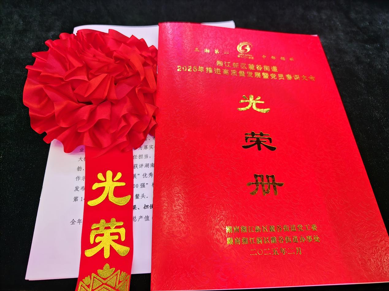 喜報 | 湖南海憑醫療器械發展集團有限公司董事長何麗紅榮獲湖南湘江新區2024年度高質量發展先進個人