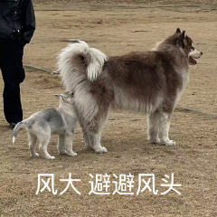 【防治篇】有一个东西看不见摸不着，却是万病之源