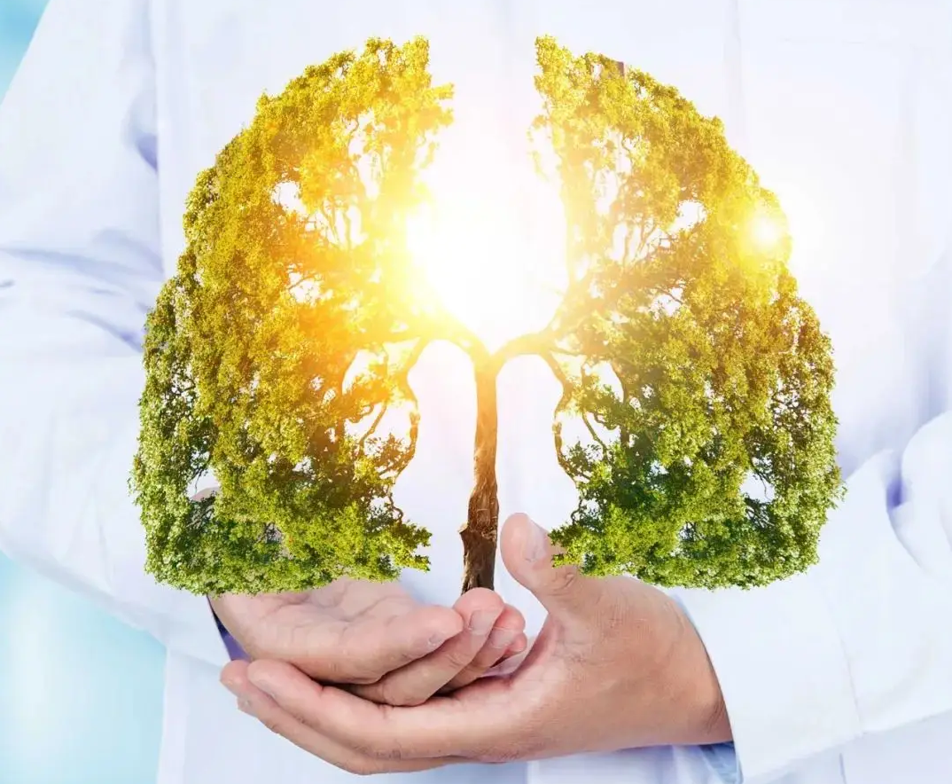 肺不好要远离肥肉？医生建议：若想肺部健康，这5种东西不妨多吃！