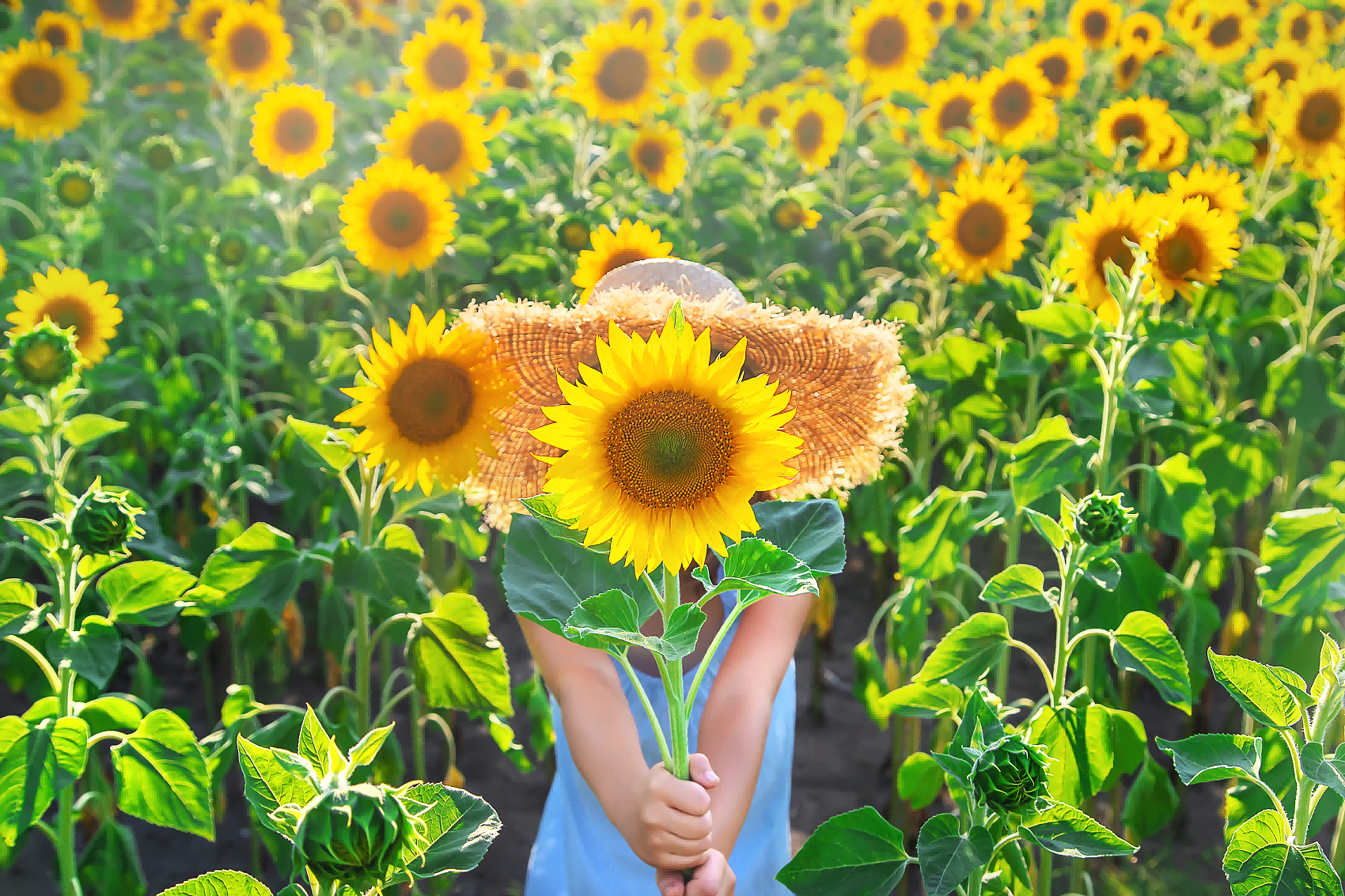 脾胃虚弱最好的办法不是滋补，而是升阳。分享3个升阳妙方