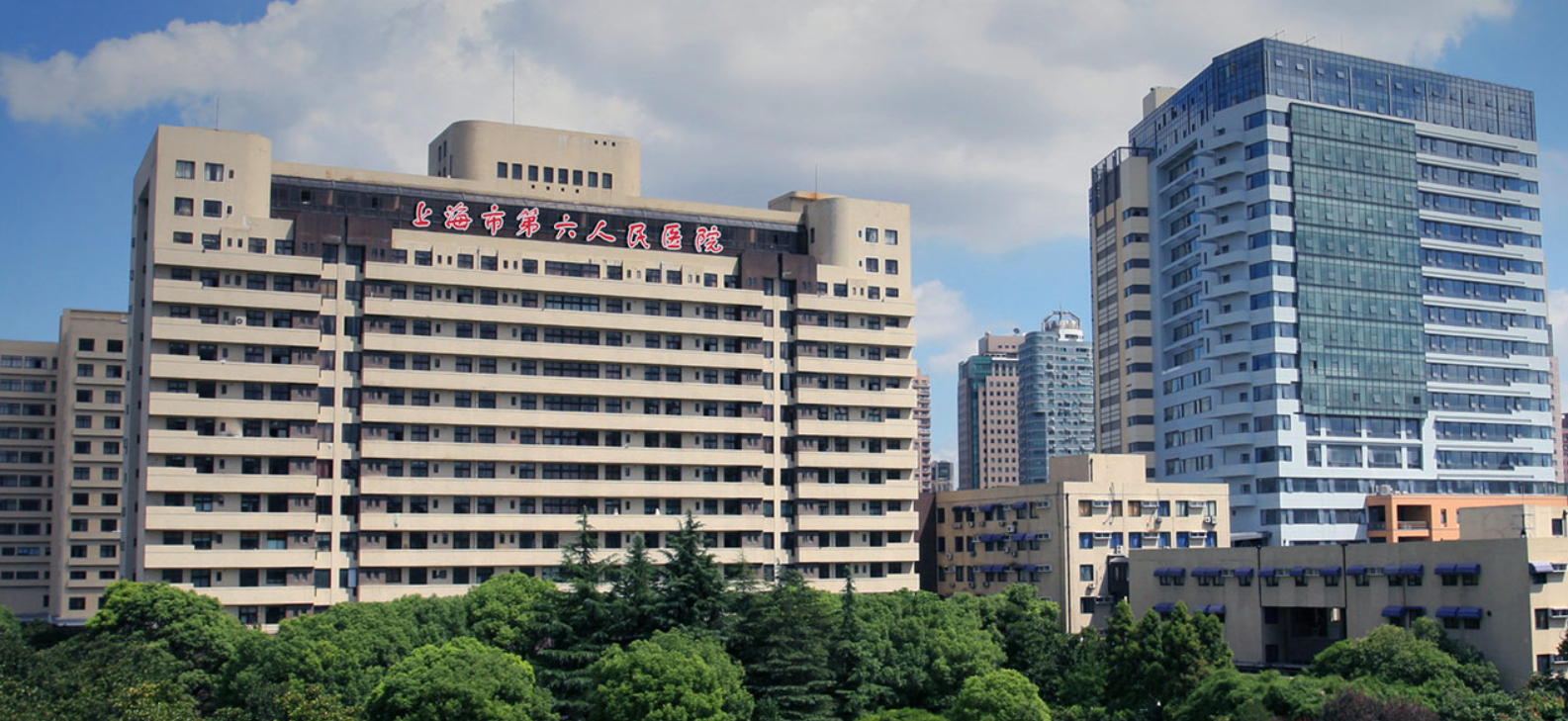 上海就医指南！上海市第六人民医院最全攻略分享！