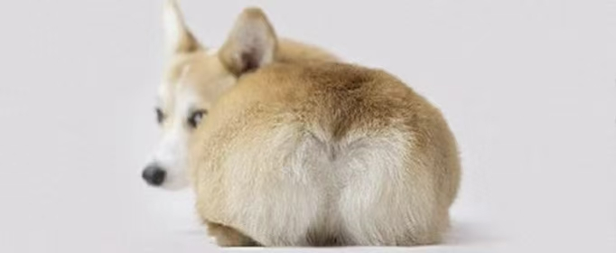 体内有癌，屁先知？读懂这些信号，做最好的“上工”