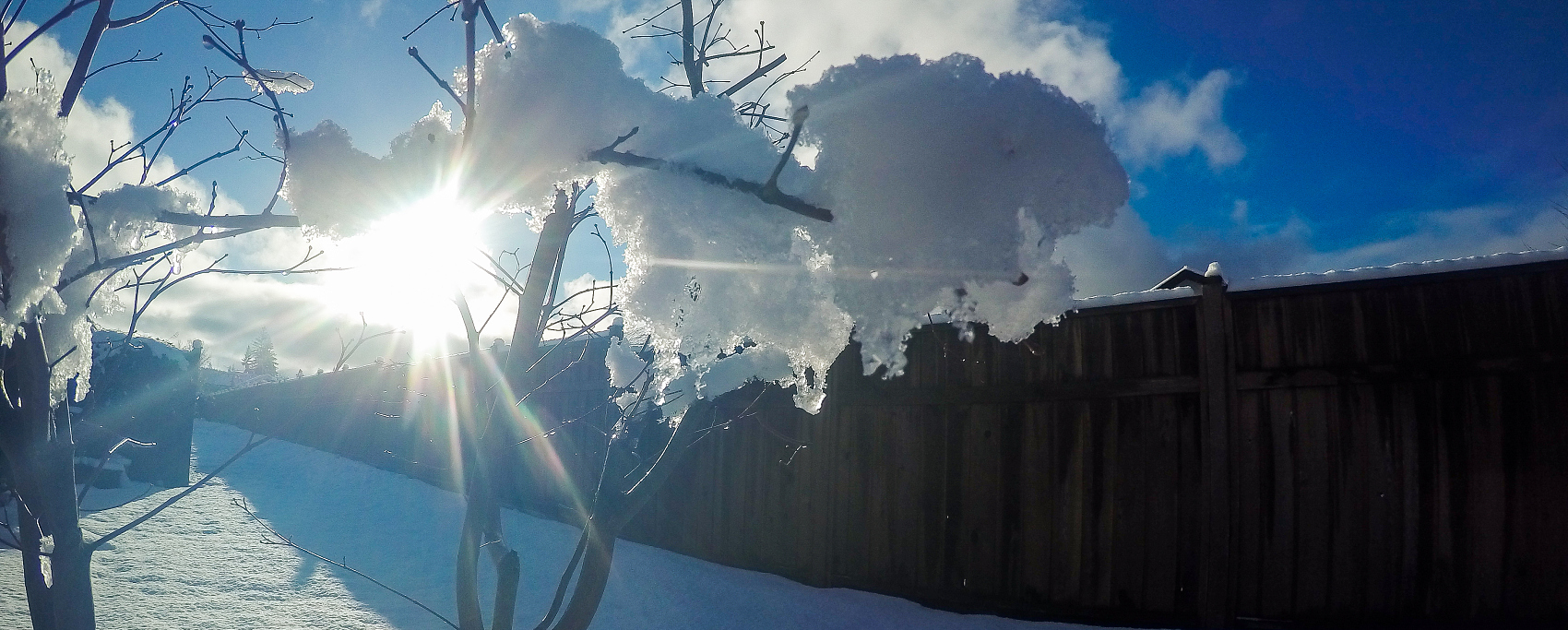 小雪已至，学会懒一点，养精、聚气、守神！