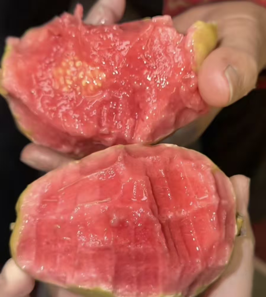 这种水果是维C之王，可惜很多人都不知道！建议便溏腹泻的人每天吃一个，尤其是这种“奶油味”的，太香了！