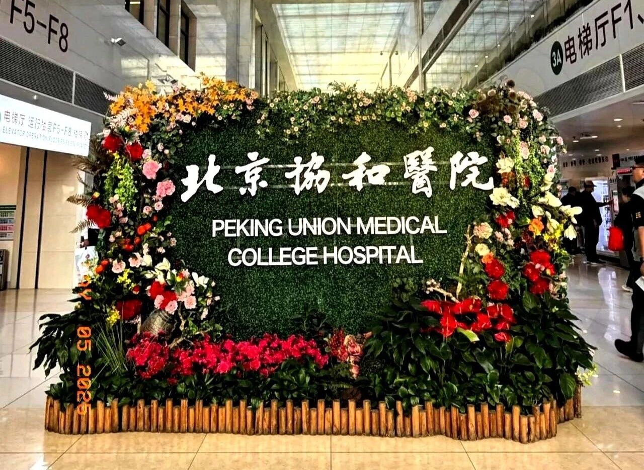 一个人到大医院就医？这份高效就诊指南请收好！