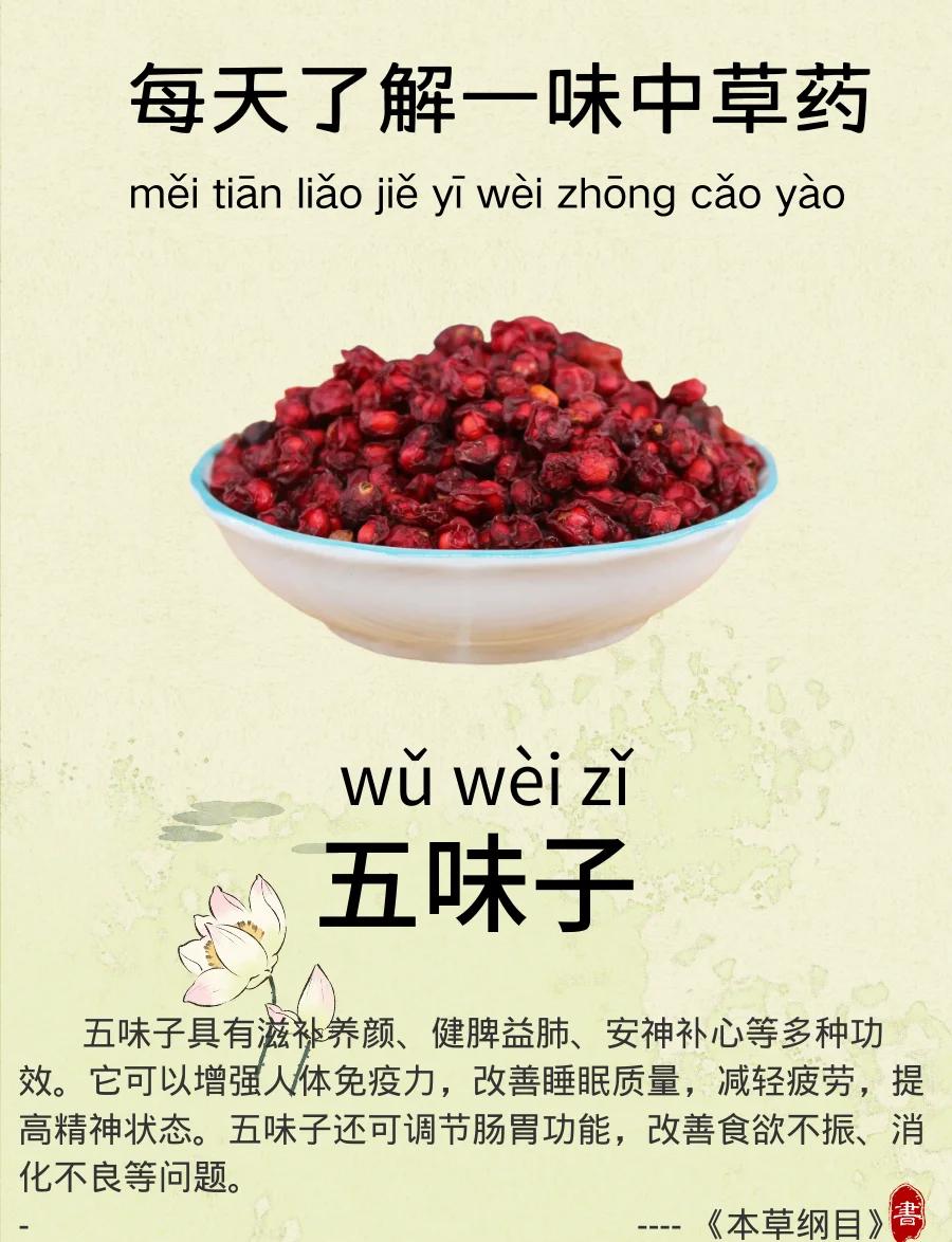 《Nature》子刊重磅：五味子“减肥”实锤！中医“脾主运化”终于被分子机制讲清了