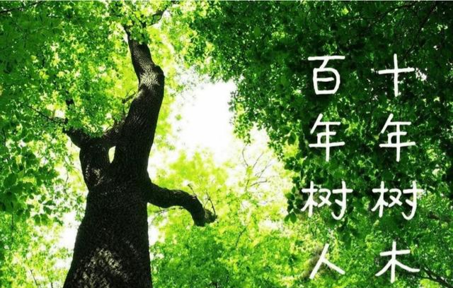 经济强市医疗为何弱?看懂这件事就看懂了中国医疗