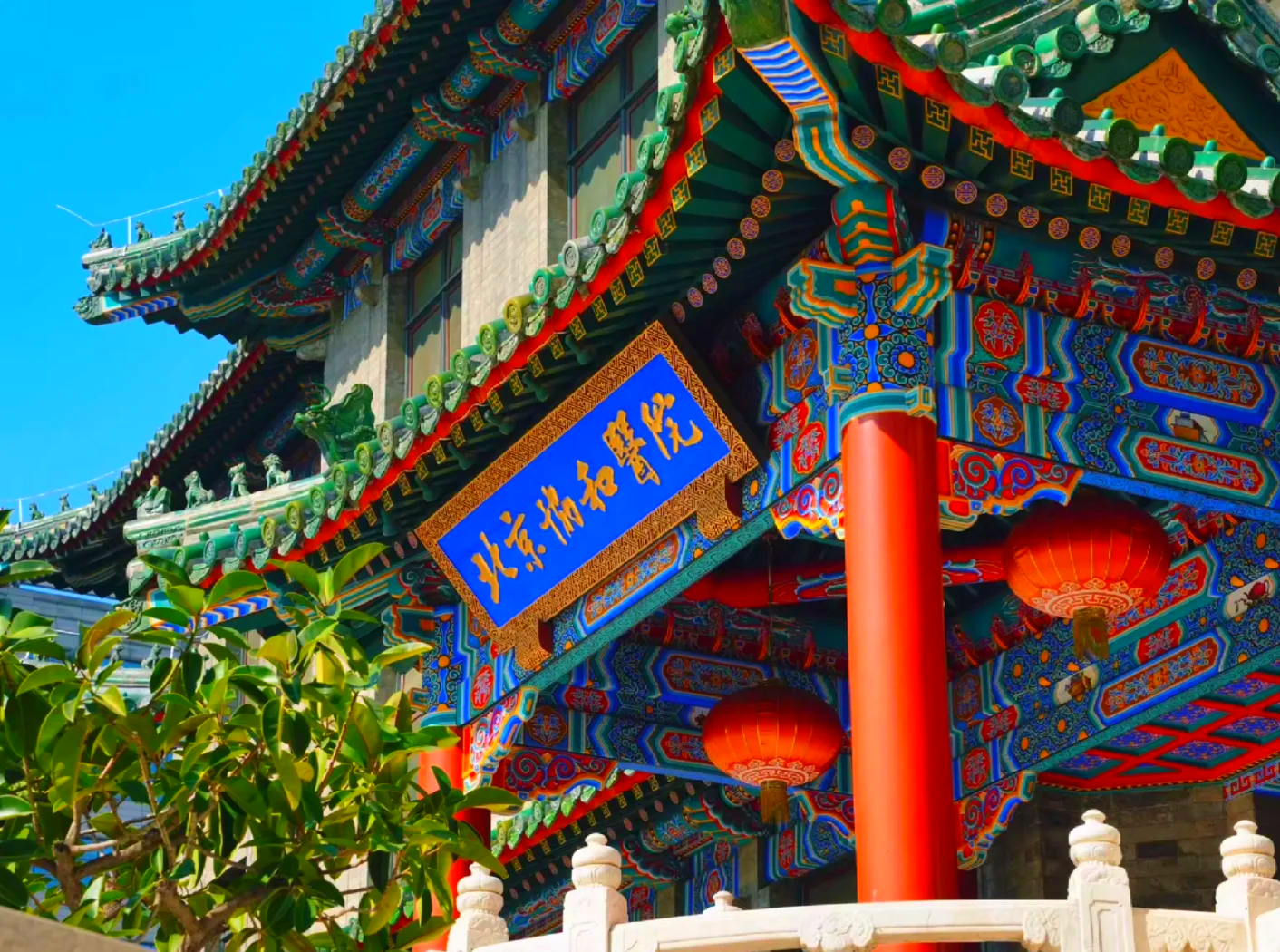 异地就医必读：协和不是万能的！选对城市和科室，你的病就治好了一半（附陪诊攻略）