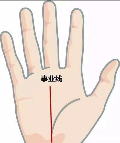 掌纹有这条线的大多事业有成！快看看你有没有！