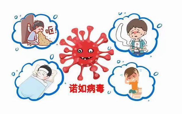 诺如病毒高发！学校、家庭必看，1个动作就能有效预防