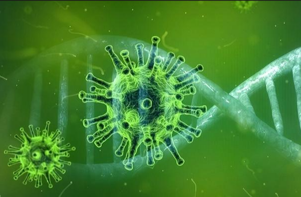 汉坦病毒疫情最新态势解析：传播风险可控，科学防控是关键