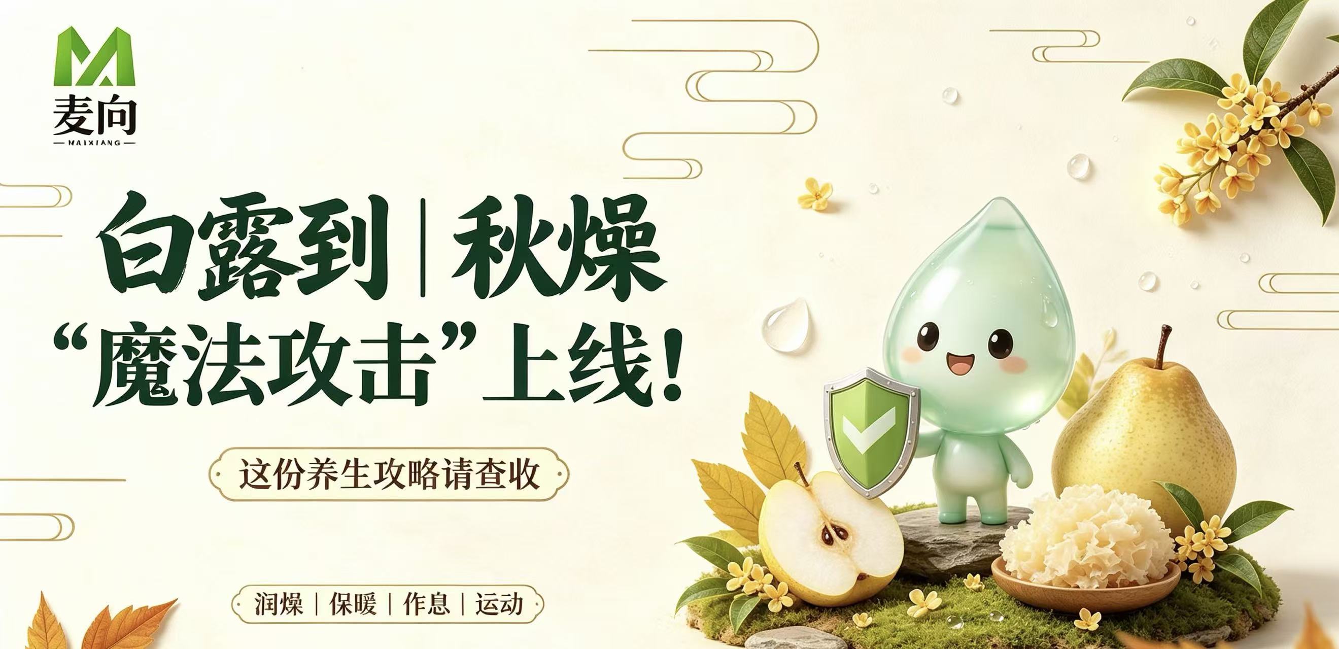 白露到｜秋燥“魔法攻击”上线！这份养生攻略请查收