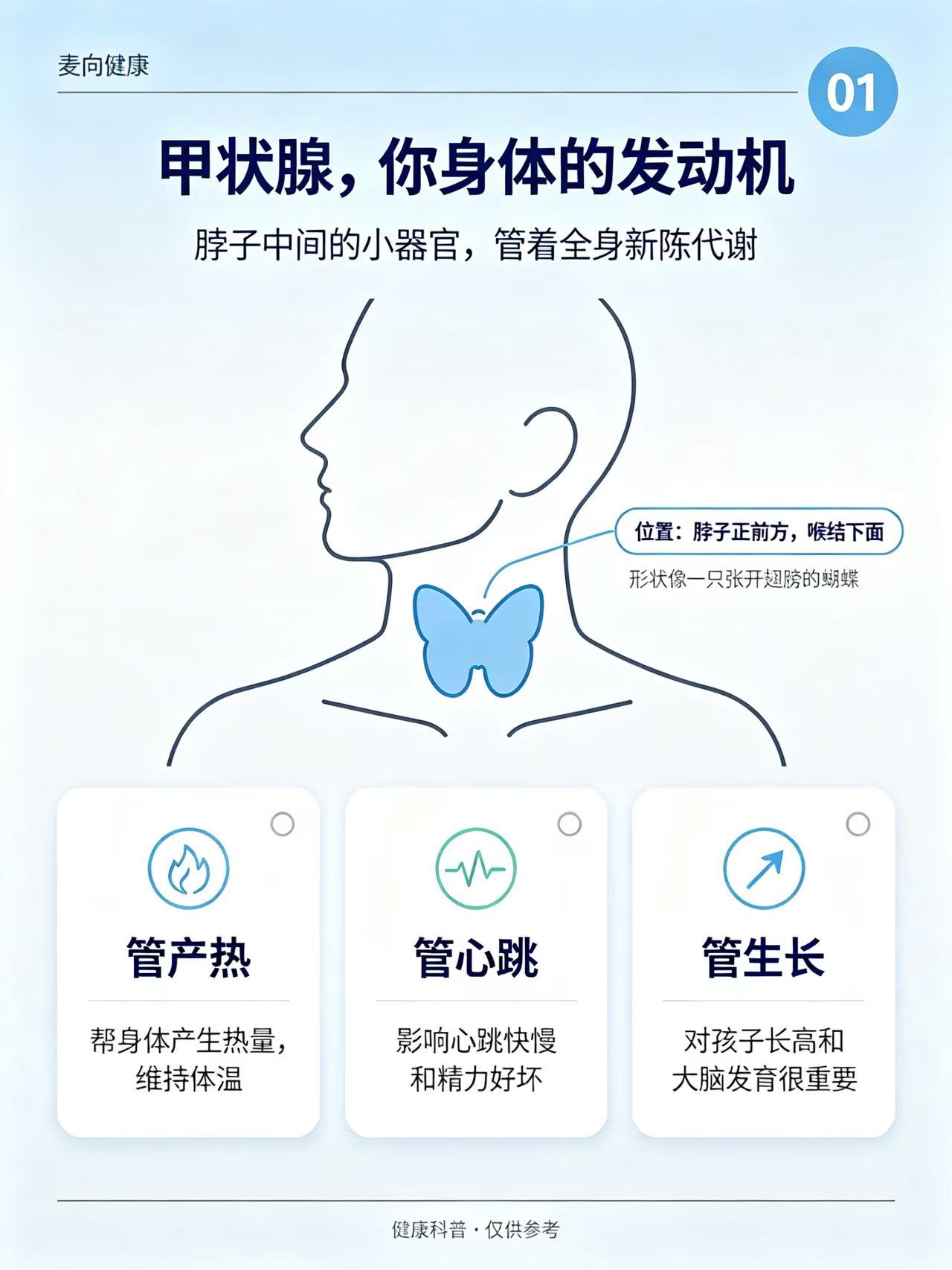 甲状腺别忽视❗脖子的小蝴蝶很重要