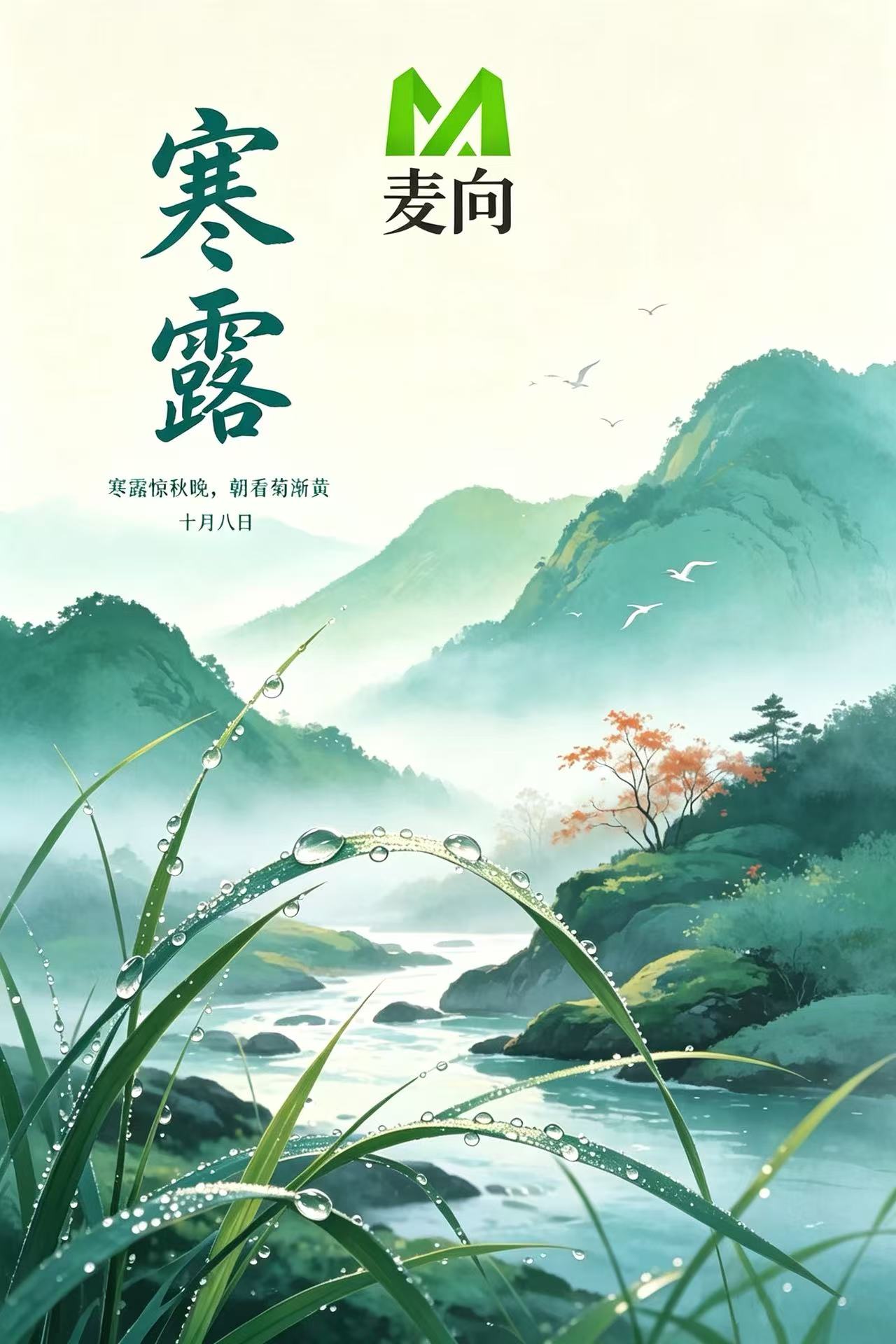 寒露至，秋意渐浓，养生这件事别偷懒