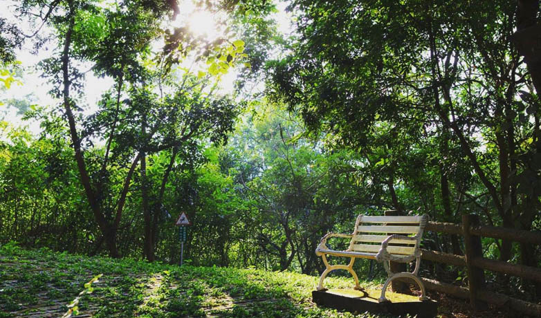 【衡阳拓展】衡阳虎形山人防公园拓展训练一天方案